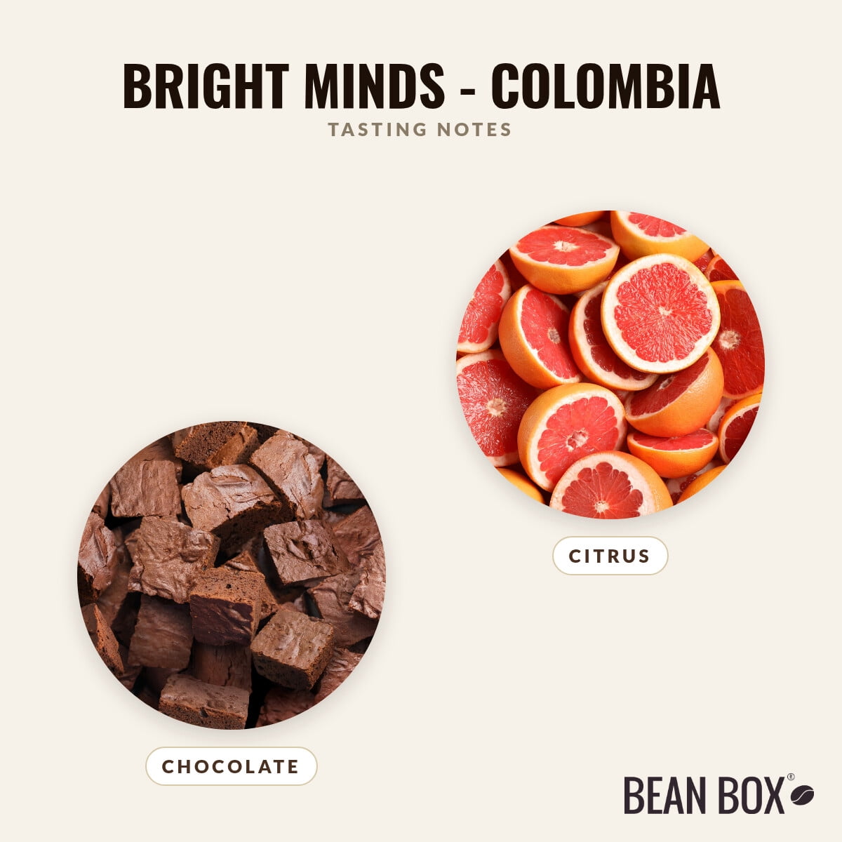 Bright Minds - Colombia - Roasted by Greater Goods Coffee Co. - Whole Bean Coffee - 10oz Bag