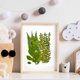thumbnail image 4 of Hojas de vegetación secas para resina hojas prensadas reales artesanías de Likrtyny arte álbum de recortes marcadores hechos a mano suministros de decoración, 4 of 8