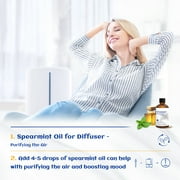 HIQILI Spearmint Essential Oil, Pure Natural, 100mL Oil for Skin Care Facial, Add to Lotions Creams