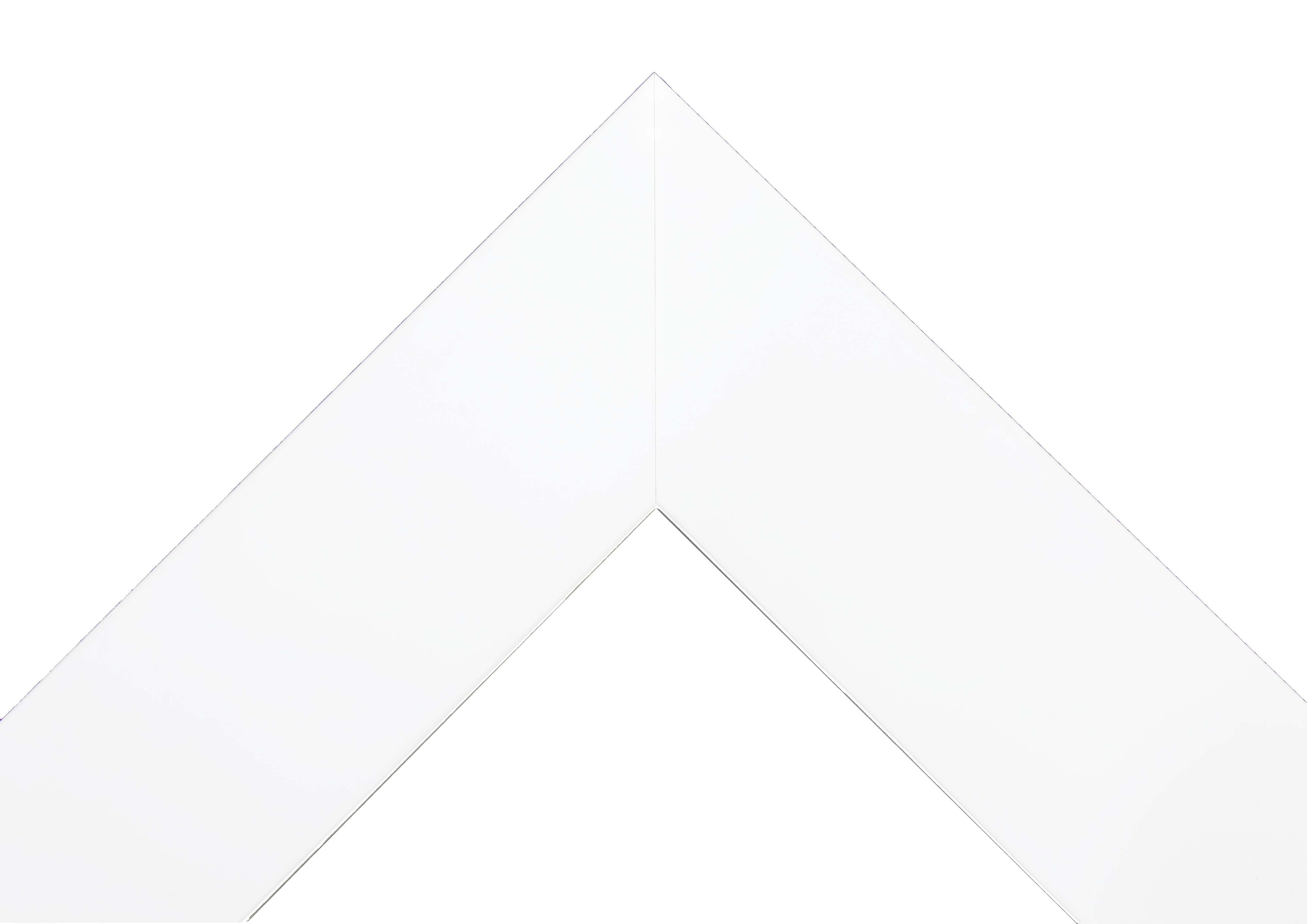 Rayne Beveled Full Length Wall Mirror 65.5"x32" Floor Mirror Matte White