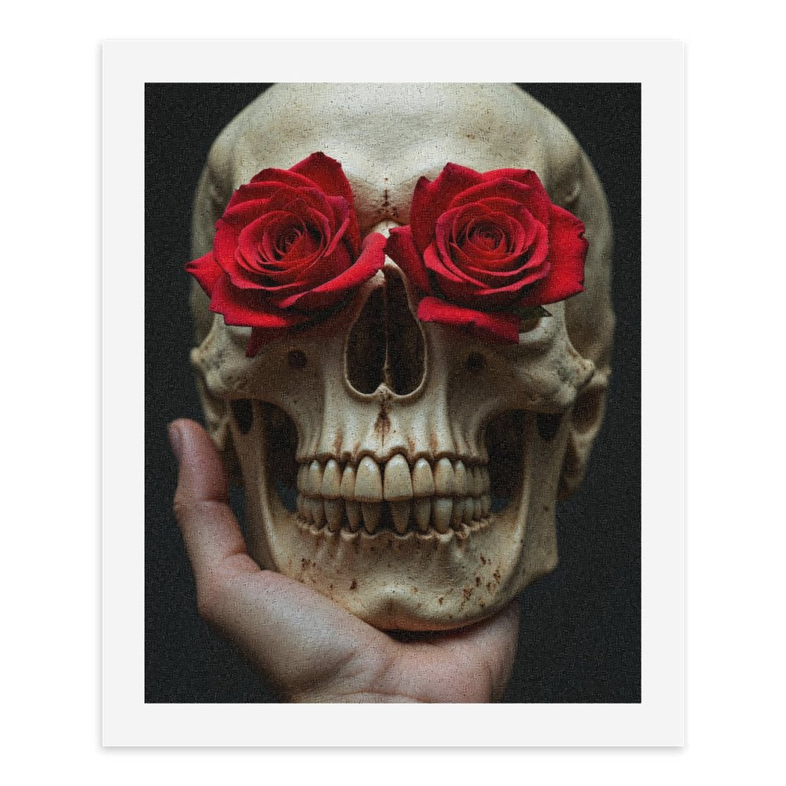 Paint By Numbers Kit for Adults Beginner - DIY Skull Roses Art Display Canvas Painting Kits for Adults, Frameless Paint By Number for Adults for Home Wall Decor 16x20 Inch