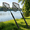 Black, variant on KOMCLUB Collapsible Fishing Nets Floating Fishing Net for Fish Fishing Landing Net with Telescopic Pole Rubber Coated Landing Net for Freshwater Saltwater 40.82inch