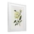 thumbnail image 2 of Stupell Industries Transitional Cream Garden Peony with Buds White Framed Print Under Glass, 17 x 21, by Nan, 2 of 8