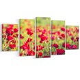 thumbnail image 2 of Beautiful Poppy Flowers Background - Large Flower Canvas Art Print, 2 of 3