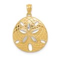 thumbnail image 1 of Collier Pendentif Étoile de Mer en Or Jaune 14k Sable Blanc Dollar, 1 of 8
