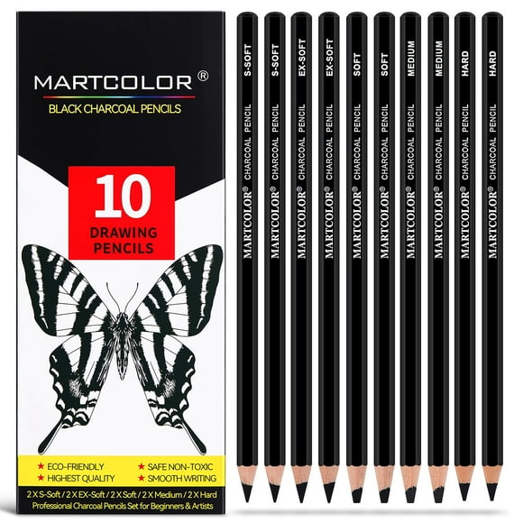 Artisan's Choice Charcoal Pencils - 10 Piece Set for Sketching, Shading, and Blending - S-Soft, Ex-Soft, Soft, Medium, and Hard - Perfect for Artists of All Levels