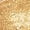 Gold, variant on iiniim Girl's 2 Piece Dance Outfits Jazz Hip Hop Performance Dance Top and Metallic Bubble Skirts Set Gold 10