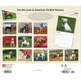 thumbnail image 2 of American Pit Bull Terriers | 2026 14x24" (Hanging) Wall Calendar | Plastic-Free, 2 of 9