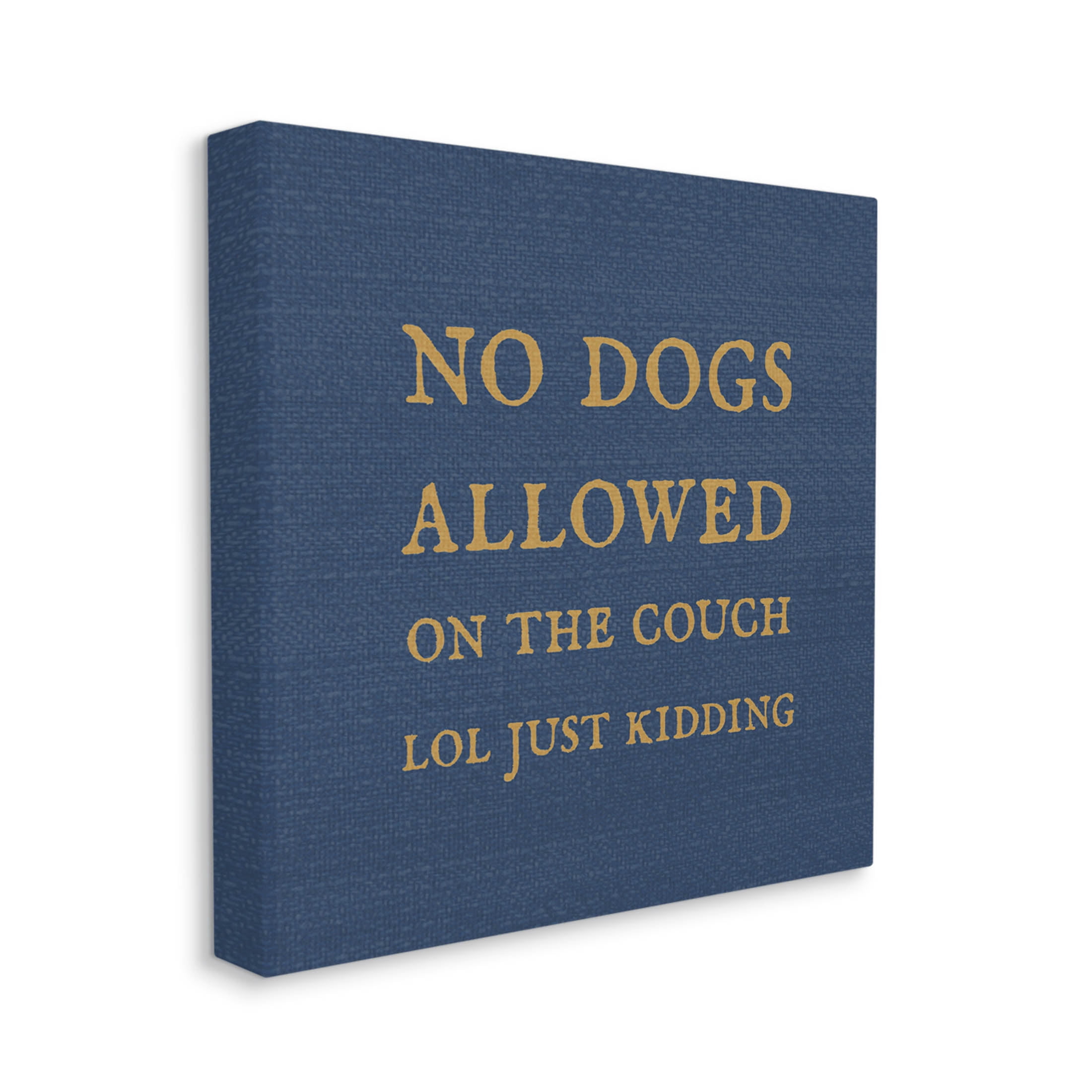 Funny No Dogs Allowed Pet Phrase Typography Graphic Art Gallery Wrapped Canvas Print Wall Art