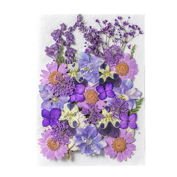 Flor seca natural Decoración floral prensada artística Flores en relieve conservadas planta seca decorada decorativa para maquillaje facial tipo 3 sidaley HA010797-03