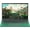 Green, variant on Rumtuk 16" Green Laptop, DDR4 16GB RAM, 1TB SSD, Win 11 Pro/Office 2019, Celeron N5105 CPU, FHD IPS Display, Backlit KB, Fingerprint, USB 3.0, HDMI, WiFi/BT, PC Notebook for Work, Study