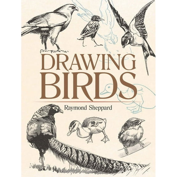 Dover Art Instruction Drawing Birds, (Paperback)