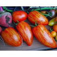 thumbnail image 4 of Speckled Roman Tomato Seeds for Planting, 100+ Heirloom Seeds Per Packet, (Isla's Garden Seeds), Non GMO Seeds, Botanical Name: Lycopersicon lycopersicum, Great Home Garden Gift, 4 of 7