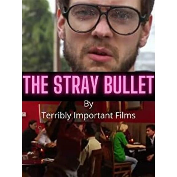 Stray Bullet (DVD)