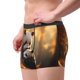 thumbnail image 2 of Balery Maple Forest Panda Calzoncillos bóxer para hombre, ropa interior de algodón suave y transpirable con cinturilla de nailon-X-Large, 2 of 5