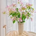 thumbnail image 1 of GSDWIUEW Bulbes de Rothschildiana Gloriosa (Lys de Feu/lys en Flammes) - Fleur de Vigne Grimpante Exotique 8 Pcs / 20 Pcs Floraisons Rouges et Jaunes Vibrantes pour Jardin et Contenants (Rose,20), 1 of 6