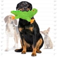thumbnail image 5 of Mighty Microfiber Lizard Durable Plush Squeaky Dog Toy, 5 of 8