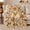Corgi Medallion, variant on Cheerful Corgi Patchwork Pattern Scene Smiling Pup Rustic, Playful Pet Portrait Pattern, Warm Flannel Blanket for Living Room and Bedroom, Dog Lovers Just Because Gift, Pet Lover Home Decor