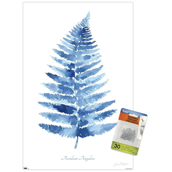 Jean Plout - Indigo Botanical Asoidium Angulare Wall Poster with Push Pins, 14.725" x 22.375"