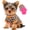 Polka dots, leopard print, variant on 2 Pieces Dog Sweaters for Small Dogs Girl Fleece Puppy Sweater for Chihuahua Yorkie Clothes Soft Warm Dog Clothes Doggie Pet Outfit Apparel Polka dots Leopard Print, Medium