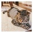 Curated visual reference: Gallery Detail: Classic Cat Anxiety Jacket Anxiety Cat Vest Emotional Support Cat