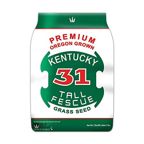 Titan Rx Turf Type Tall Fescue Grass seed 50 Lbs. Certified 