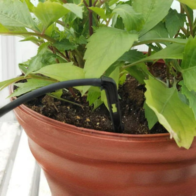 Jain Arrow Angled Drip Stake w/ 24 tube