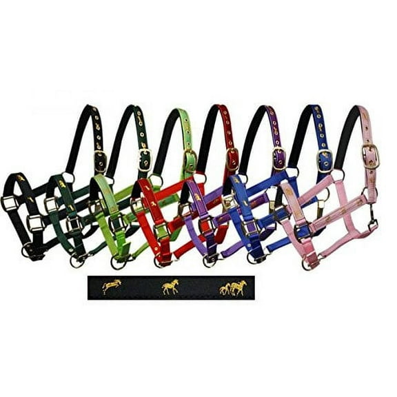 Adjustable Cob Size Neoprene Lined Nylon Halter w/ "Running Horse" Overlay (Black)