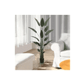 thumbnail image 4 of "Planta Artificial Ave De Paraíso Con Maceta Decoración 110cm ", 4 of 4