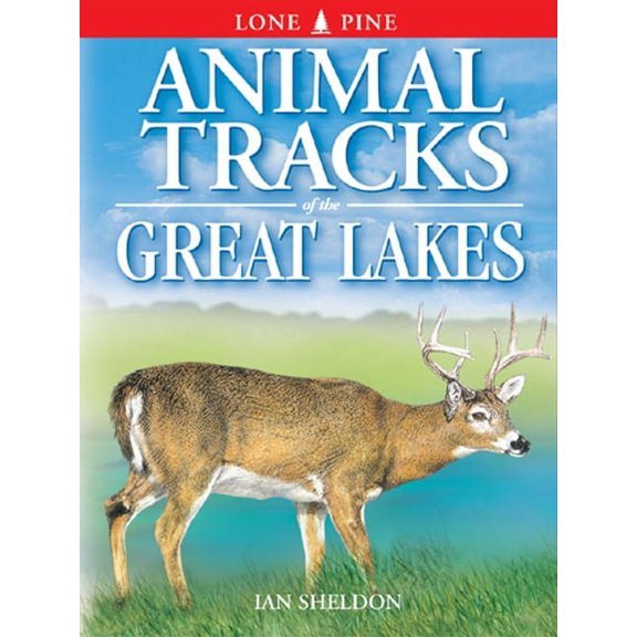 Animal Tracks Animal Tracks of the Great Lakes, (Paperback)