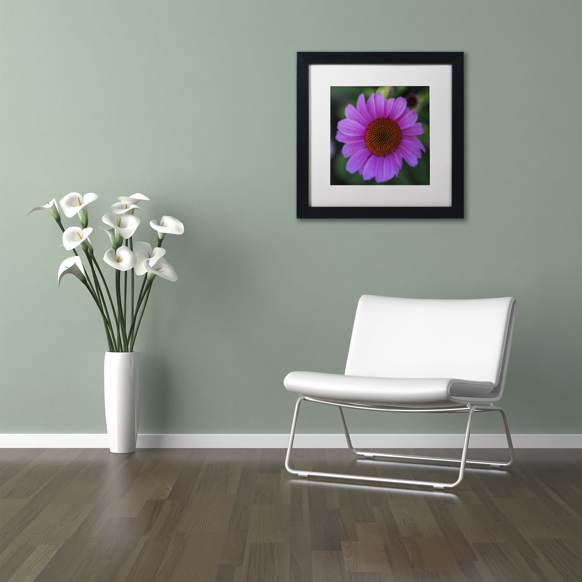 Trademark Fine Art Floral & Botanical Matted Framed Art ' Purple Coneflower ' by Kurt Shaffer