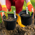 thumbnail image 7 of 100-Pack 4.7 Inch White Waterproof Plant Labels Stakes With 5Ml Permanent Marker Pen, Durable Weatherproof Garden Tags For Marking Seedlings, Vegetables, Herbs And Flowers, 7 of 7
