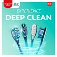 thumbnail image 3 of Colgate 360 Whole Mouth Clean Full Head Toothbrush, Medium 1 ea (Pack of 6), 3 of 7