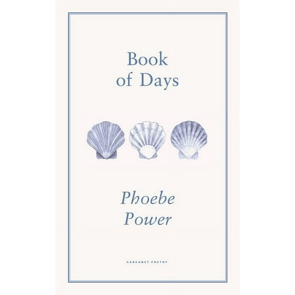 Book of Days, (Paperback)