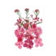 thumbnail image 1 of Flores prensadas secas Strade Fareast Limited Material de fabricación DIY Rosa rojo, 1 of 8