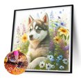 thumbnail image 2 of Pintura de diamante 5D DIY Kit de perro de taladro redondo completo Artesanía de decoración del hogar (A7278) Hugtrwg Para estrenar, 2 of 9