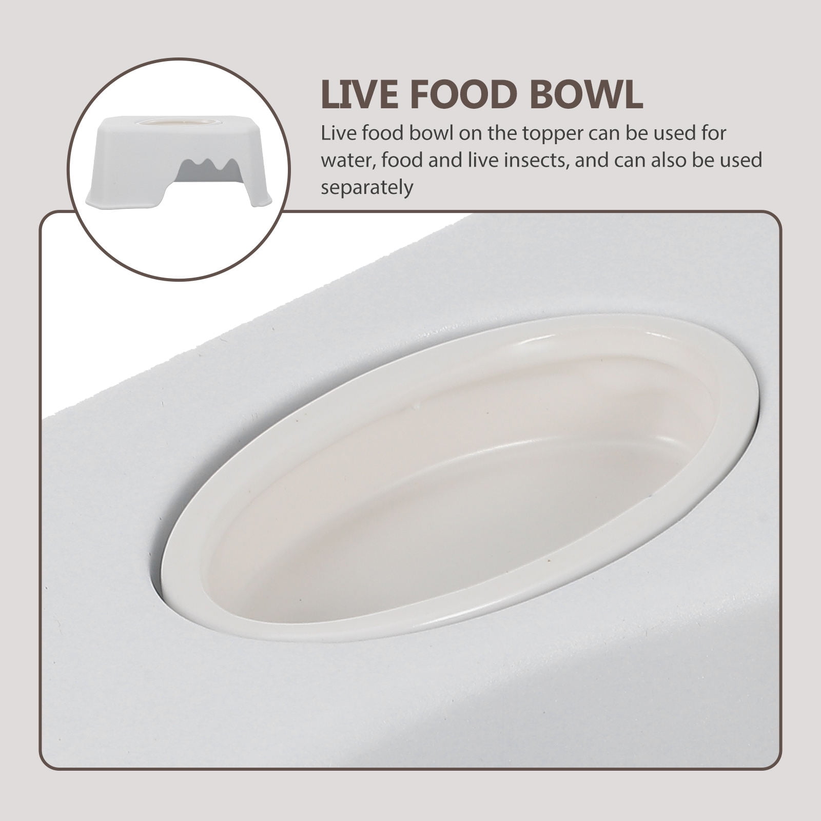 HONMEET Lightweight White Lizard and Reptile Decor for Safe Pet Shelter and Feeding Accessory