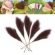 thumbnail image 5 of 5 piezas de hierba de pampa artificial para decoración del hogar, ramo de flores de caña de simulación DIY marrón, 5 of 8