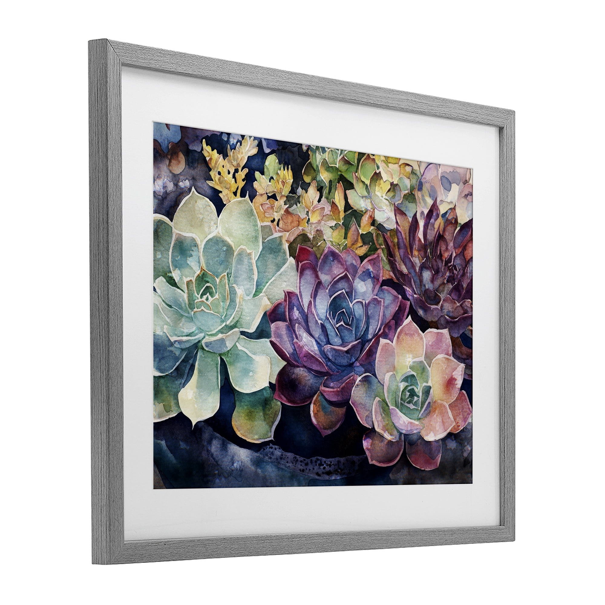 Stupell Industries Tutti Succulents Collection Gray Framed Print Under Glass, design by Svetlana Aleynikova