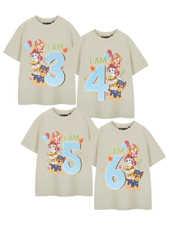 Birthday Age Five Boys Oatmeal Short Sleeved T-Shirt | 5-6 Years | Made by Vanilla Underground