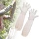 thumbnail image 4 of Guante De Apicultura De Primera Calidad, Duradero, Antipinchazos, Protector Para Hombres, Mujeres Y Adultos Sunnimix Guantes de apicultura, 4 of 8