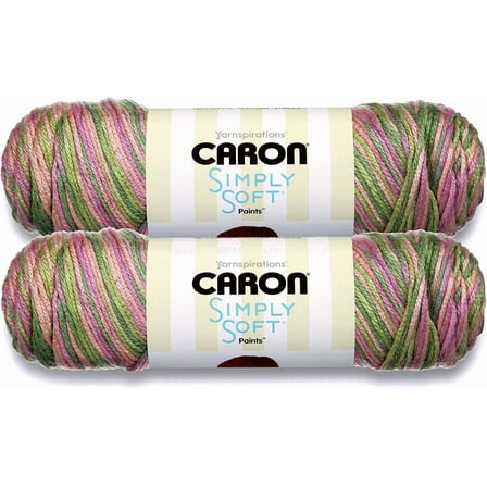 (Pack of 2) Caron Simply Soft Paints Yarn-Rose Garden
