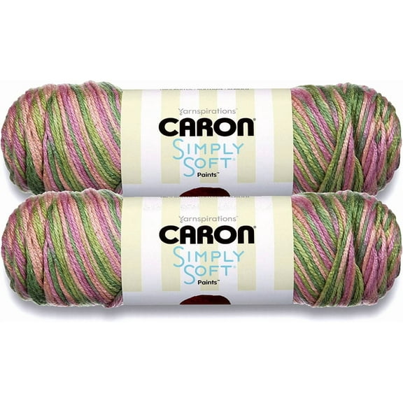 (Pack of 2) Caron Simply Soft Paints Yarn-Rose Garden