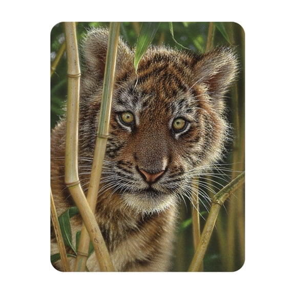 3D LiveLife Magnet - Discovery from Deluxebase. Lenticular Wild Animal Refrigerator Magnet. Decorative 3D Tiger Flat Magnets. Cute Small Magnets for Fridge, Dishwasher and Whiteboard.