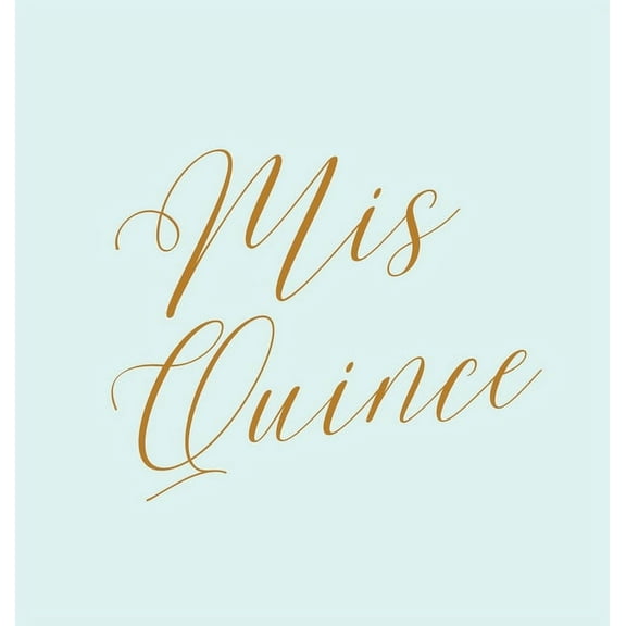 Mis Quince guest book, Quinceañera guest book, Mis Quince Anos Guest book, birthday party guest book to sign, (Hardcover)