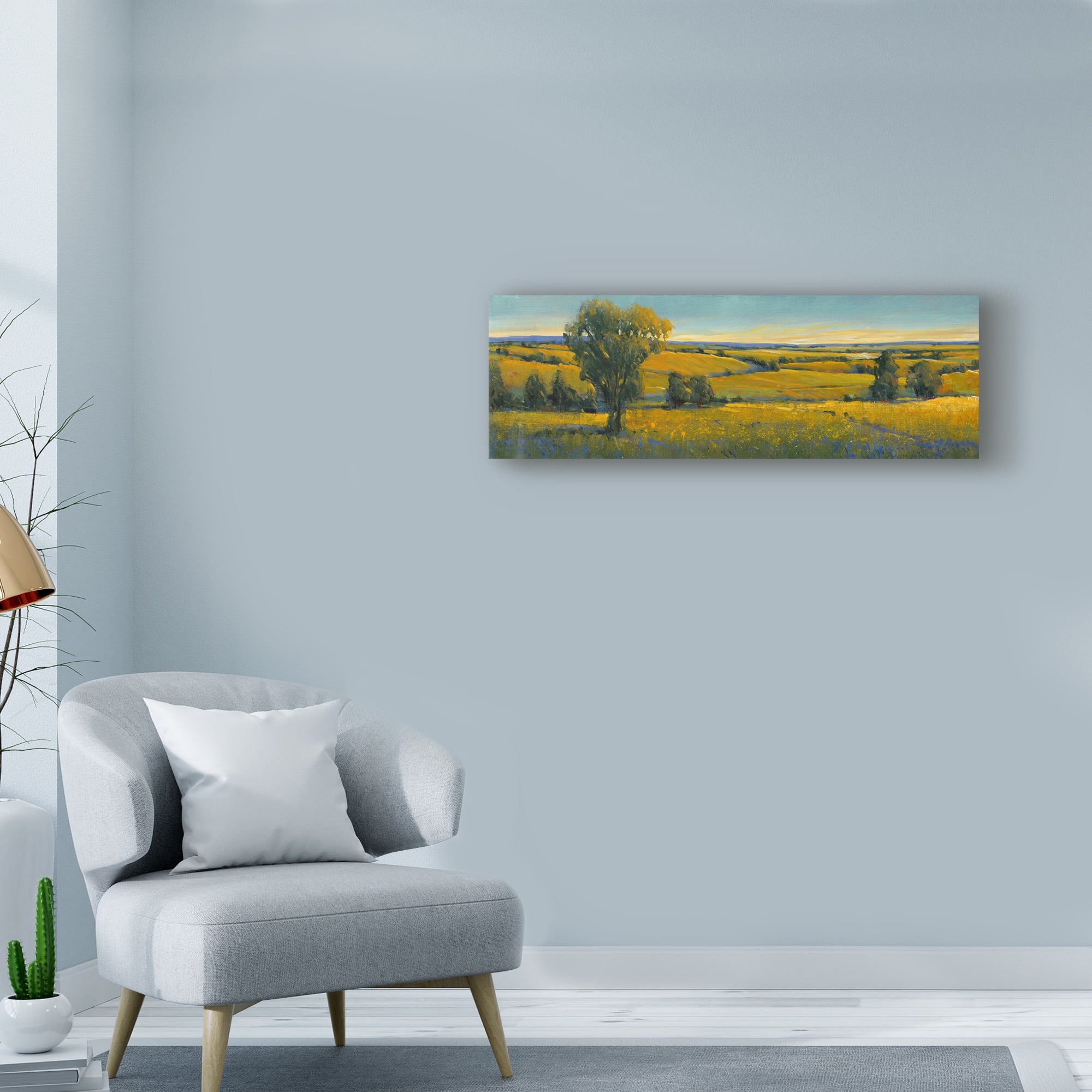 Trademark Fine Art 'Picturesque Scene I' Canvas Art by Tim OToole
