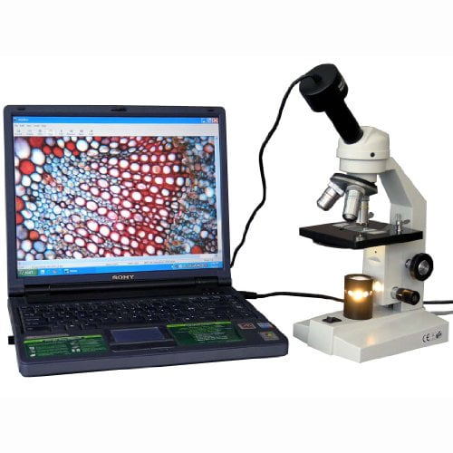 LED Illumination Plain Stage AmScope M200B-LED Cordless Monocular Compound Microscope Coarse and Fine Focus 110V or Cordless Operation 40x-800x Magnification WF10x and WF20x Eyepieces Single-Lens Condenser Brightfield