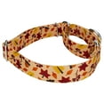 thumbnail image 4 of Country Brook Petz® Fall Foliage Martingale Dog Collar and Leash, Small, 4 of 6