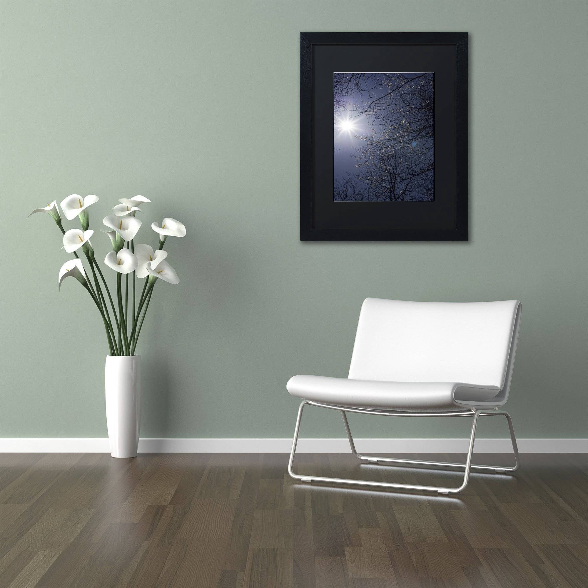 Trademark Fine Art "Springtime Sunshine" Canvas Art by Kurt Shaffer, Black Matte, Black Frame