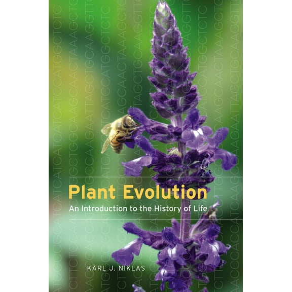 Plant Evolution : An Introduction to the History of Life (Paperback)